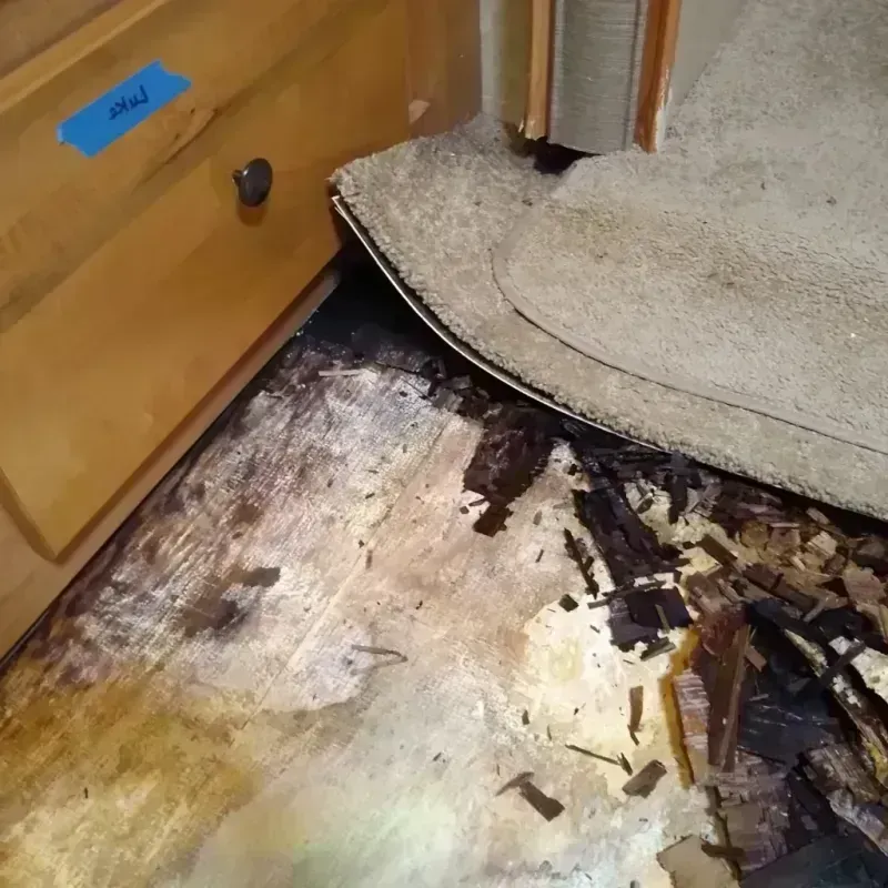 Best Wood Floor Water Damage Service in Marquette Heights, IL